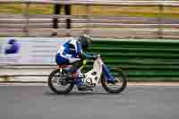 Vintage-motorcycle-club;eventdigitalimages;mallory-park;mallory-park-trackday-photographs;no-limits-trackdays;peter-wileman-photography;trackday-digital-images;trackday-photos;vmcc-festival-1000-bikes-photographs